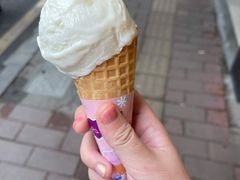 椰子雪糕-顺记冰室(宝华路店)