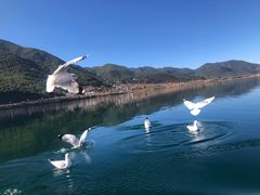 -丽江泸沽湖景区
