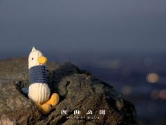 -鬼笑石后山停车场