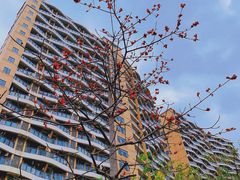 -台科花园