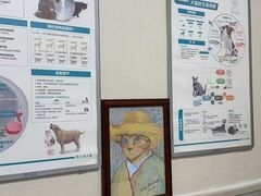 -谐和益家动物医院·免疫绝育·血液透析·宠保定点医院(高新伊藤分院)
