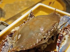 -一绪に寿喜烧自助(世茂广场店)