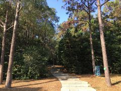 -金山植物公园