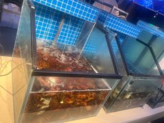 -海天盛宴潮汕蒸汽海鲜高端自助形象店
