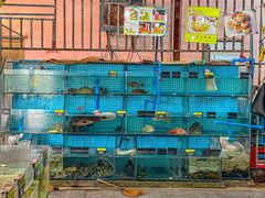 -岛中岛·海鲜大排档·万宁老字号(东澳店)