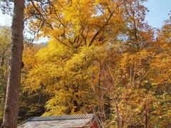 -北京上方山国家森林公园