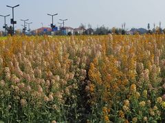 -中国天府农业博览园