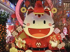 -越秀西湖花市(广州城市广场花卉店)