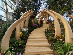 -沈阳植物园