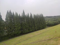 -南京市无想山景区