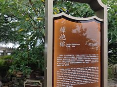 -江心屿景区