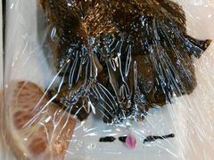 -珠海横琴国际网球中心