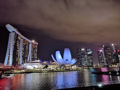 -新加坡乌节希尔顿酒店 (SG Clean)