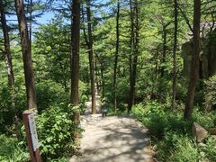 -崂山巨峰游览区