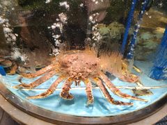-乐在集市海鲜大排档(平潭店)
