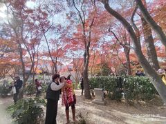 -秋霞圃