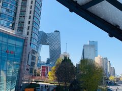 -中央广播电视总台(光华路办公区)