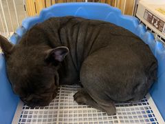 -喵匠猫主题咖啡(凯德和平广场店)
