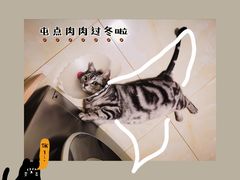 -萌兽医馆·绝育·24小时内科·宠物医院(德胜店)