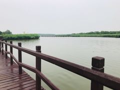 -西青郊野公园