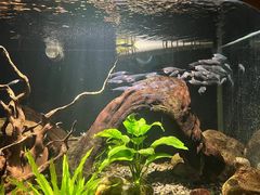 -太平洋海底世界