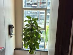 -通透堂中医·精准推拿(旗舰店)