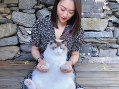 -喵屿·大理花园猫咖