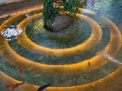 -苏州味道(阳澄湖服务区店)