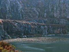 -黄埔油麻山森林公园