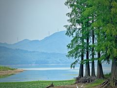-四明湖