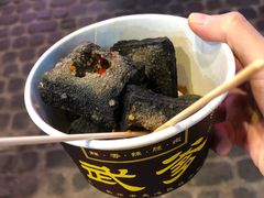 -武爹臭豆腐(坡子街店)