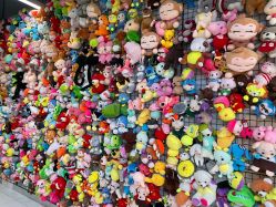 -宝燕乐园(闵行旗舰店)