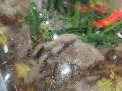 -古彭7只羊·招牌白串·碳锅羊肉旗舰店