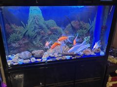 -宜昌富力皇冠假日酒店·咖啡1号西餐厅