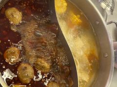 -宴全牛粤来越牛潮汕鲜牛肉火锅(海州万达广场店)