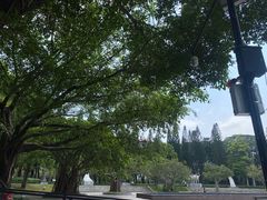 -广州雕塑公园