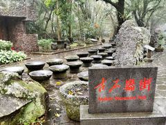 -海口火山口国家地质公园