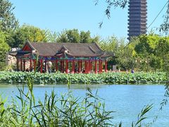 -西海子公园
