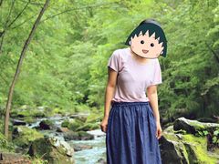 -茅兰沟国家森林公园