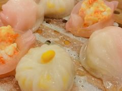 虾饺-琼菜王(南海店)