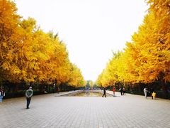 -玲珑塔公园