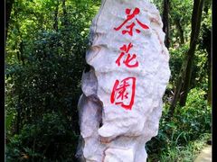 -白云山风景名胜区