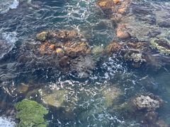 -三亚西岛海洋文化旅游区