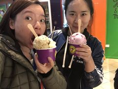 -Dooley's Premium Ice Cream