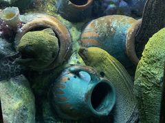 -太平洋海底世界