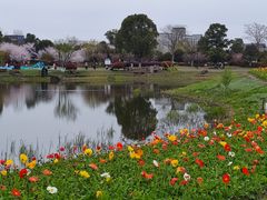 -径山花海