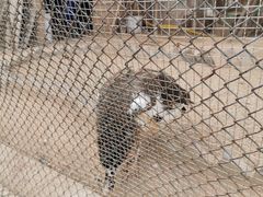 -陕西自然博物馆