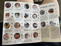 -喵屿·大理花园猫咖