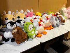 -海底捞火锅(劲松店)