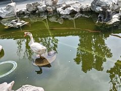 -龙华寺